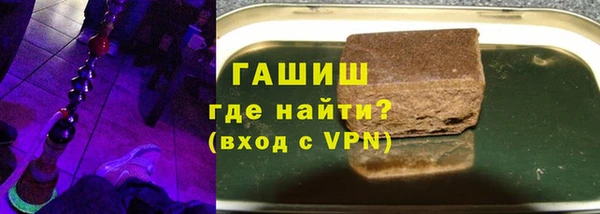 индика Бородино