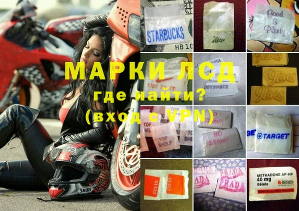 2c-b Инсар