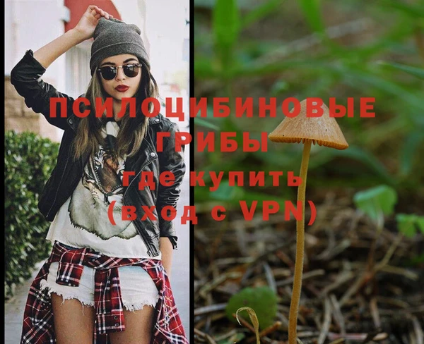 герыч Арсеньев